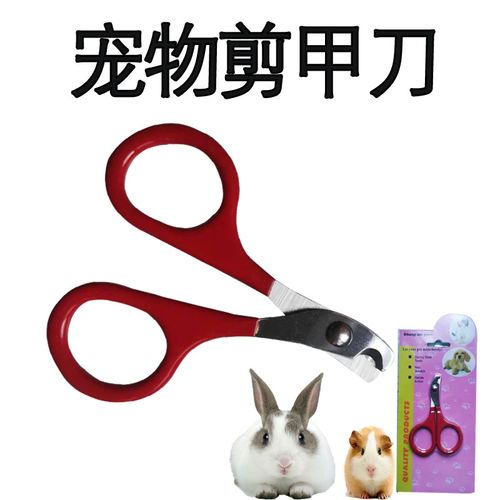 寵物兔與龍貓必備 專(zhuān)業(yè)指甲剪的選購(gòu)與使用指南