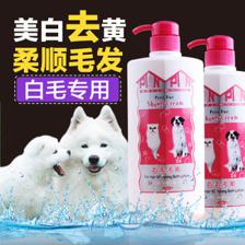 魔幻貝貝寵物用品店11月狂歡 引領品質寵物生活新體驗
