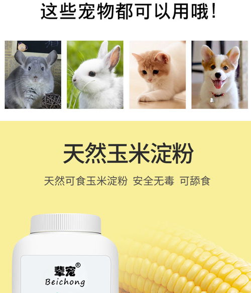 寵物干洗新時(shí)代 泡沫與干粉的便捷護(hù)理指南